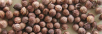 Corianderöl naturrein Corianderöl naturrein