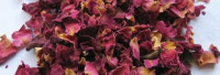 Rosenblütenblätter rot ganz Rosenblütenblätter rot ganz