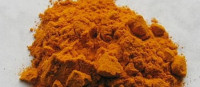 Kurkumawurzel BIO gemahlen Kurkumawurzel BIO gemahlen