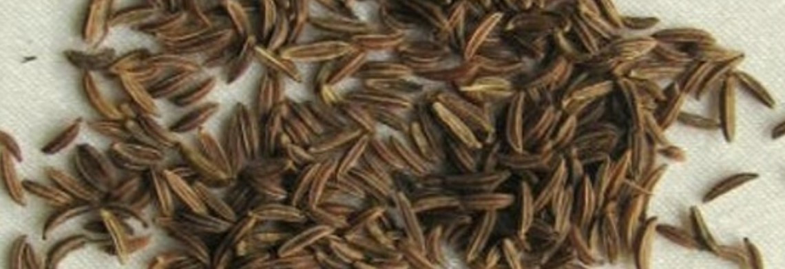 Kümmelöl naturrein Kümmelöl naturrein