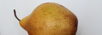 Parfumöl Pear (Birne)