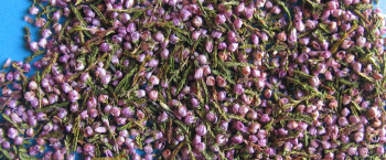Erikablüten BIO gerebelt