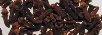 Ätherisches Nelkenöl (Gewürznelkenöl) naturrein