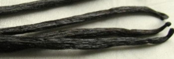 Parfumöl (natürlich) Vanille "Bourbon"