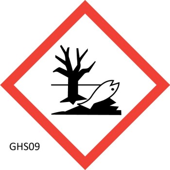 Amyrisöl (=Westindisches Sandelholzöl), naturrein