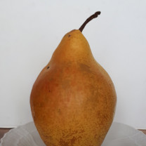 Parfumöl Juicy Pear       50ml