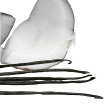 Parfümöl Kokos mit Vanille 20 ml