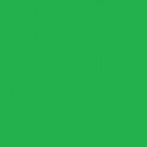 Lebensmittelfarbe grün, flüssig E 131/102     100ml