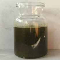 Avocadoöl nativ grün 1 Liter Avocadoöl nativ grün 1 Liter