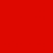 Lebensmittelfarbe rot Pulver (Ponceau)    250g