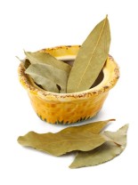 Gracefruit Bay Rum Grade Fragrance Oil     20ml