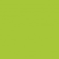 Pigment Maigrün Pulver (CI47005, CI61570)