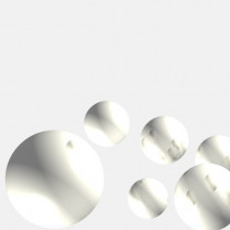 SCI (Pulver)