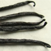Parfümöl Vanilla (Vanille)