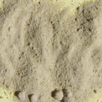 Weihrauch Indien, Wildsammlung, gemahlen