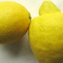 Ätherisches Zitronenöl naturrein, kaltgepresst   50ml