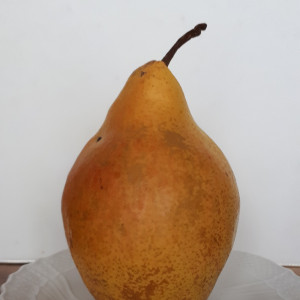 Parfumöl Pear (Birne)      250ml