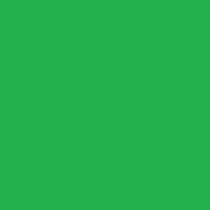 Lebensmittelfarbe grün, flüssig E 131/102     100ml