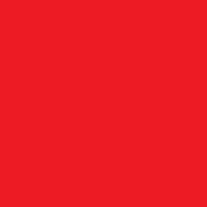 Lebensmittelfarbe rot, flüssig E124      100ml