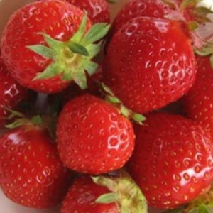 Parfumöl Delicious Strawberry      20ml
