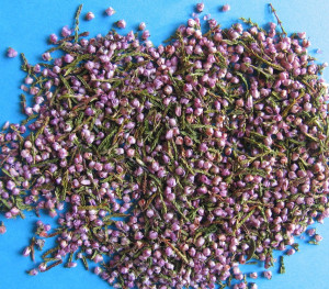 Erikablüten BIO gerebelt    100g