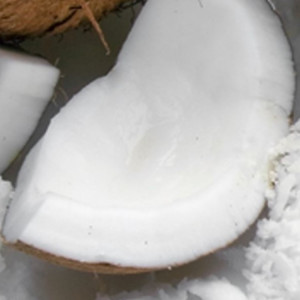 Parfümöl Coconut (Kokosnuss) 1Liter