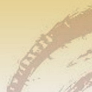 Parfumöl Wild Musk 100 ml