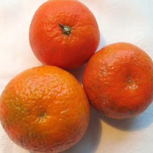 Mandarinenöl rot naturrein