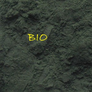Spirulina BIO gemahlen     100g