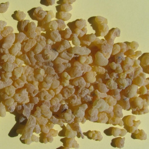 Weihrauch Äthiopien (Arabischer Weihrauch) Erbsen     100g