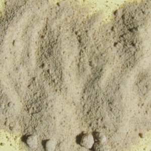 Weihrauch Indien, Wildsammlung, gemahlen