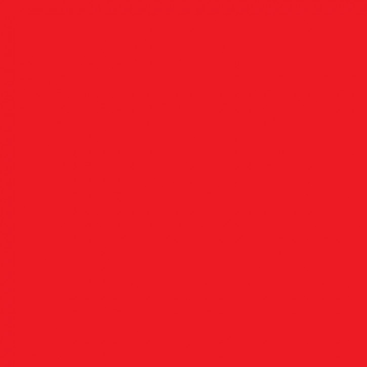 Lebensmittelfarbe rot, flüssig E124      250ml