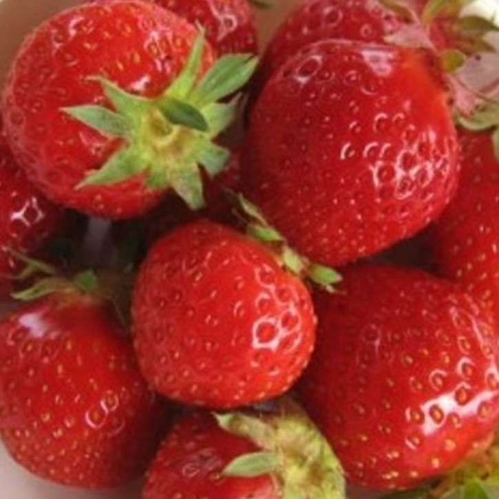 Parfumöl Delicious Strawberry     50ml