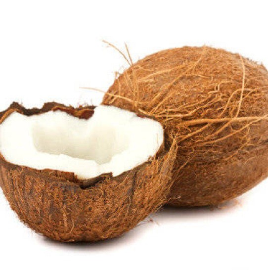 GF Coconut Cosmetic Grade Fragrance Oil     20ml