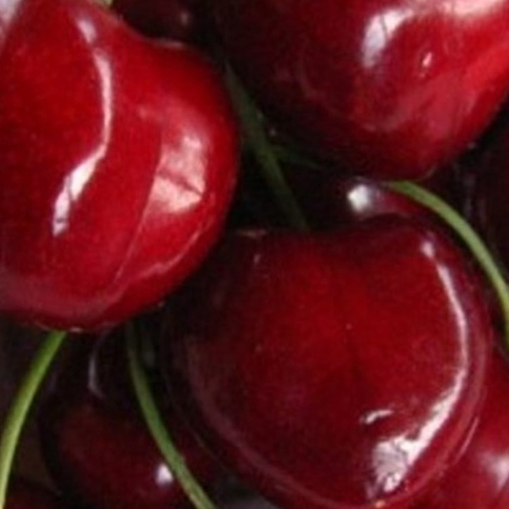 Parfumöl Red Cherry    50ml