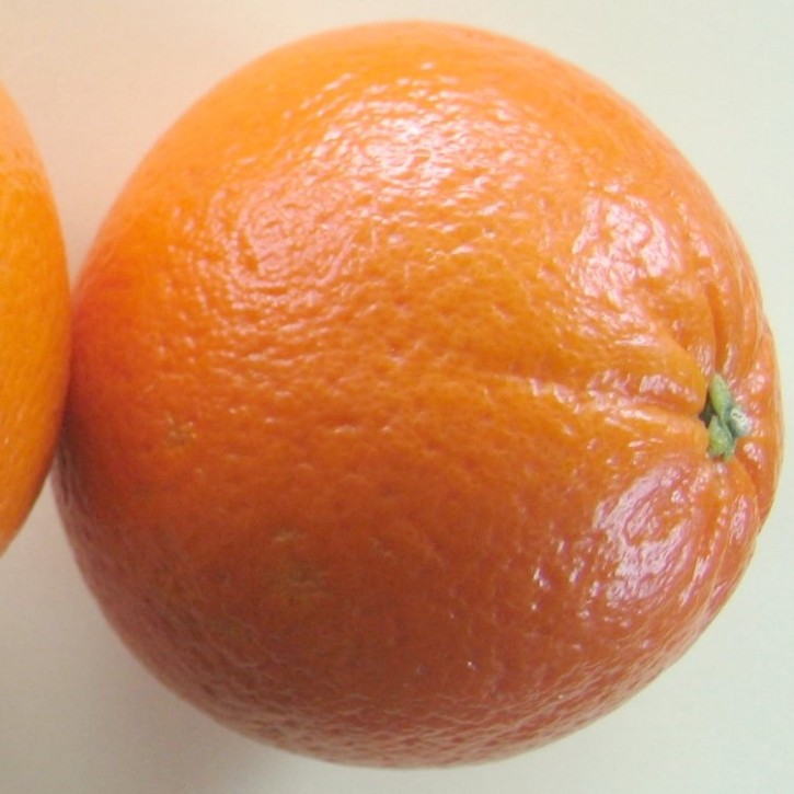 Parfümöl Orange Wonder 1 Liter