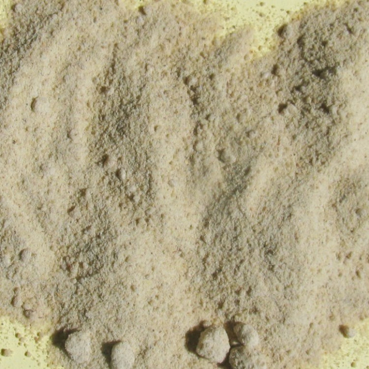 Weihrauch Indien, Wildsammlung, gemahlen     50g