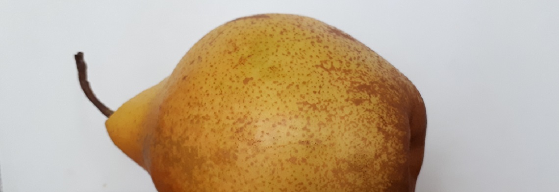 Parfumöl Pear Parfumöl Pear