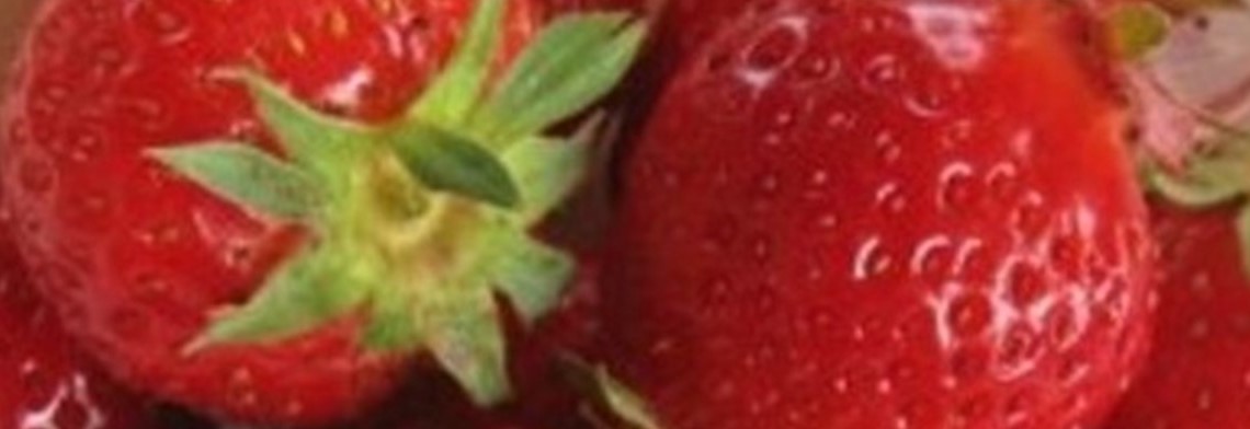 Parfumöl Erdbeere Parfumöl Erdbeere