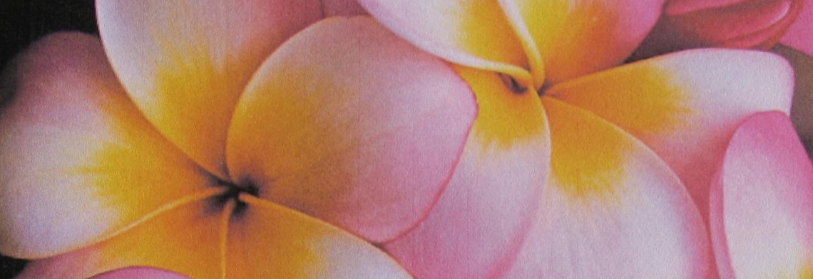 Parfumöle: Duft floral Parfumöle: Duft floral