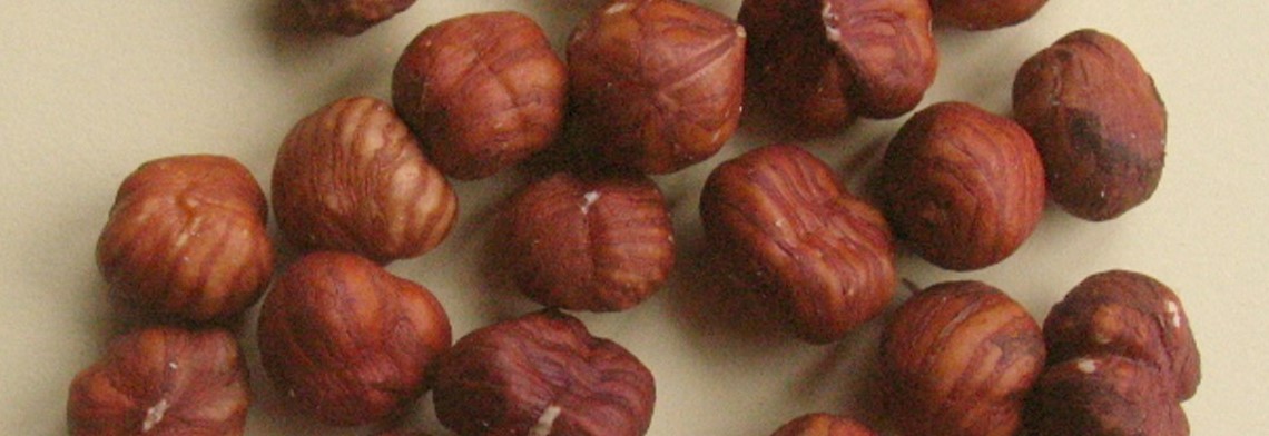 Haselnussöl kaltgepresst BIO Haselnussöl kaltgepresst BIO
