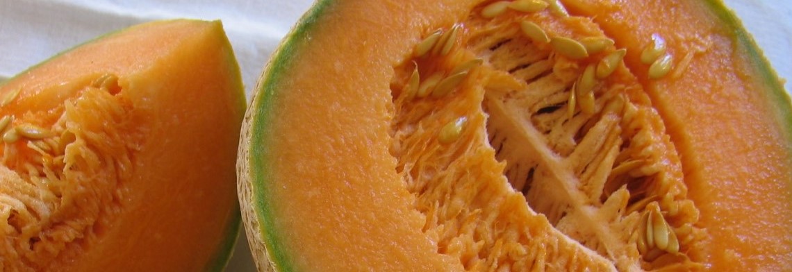 Parfumöl Honeydew Melon N Parfumöl Honeydew Melon N
