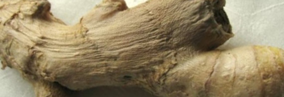 Ätherisches Ingweröl naturrein Ätherisches Ingweröl naturrein