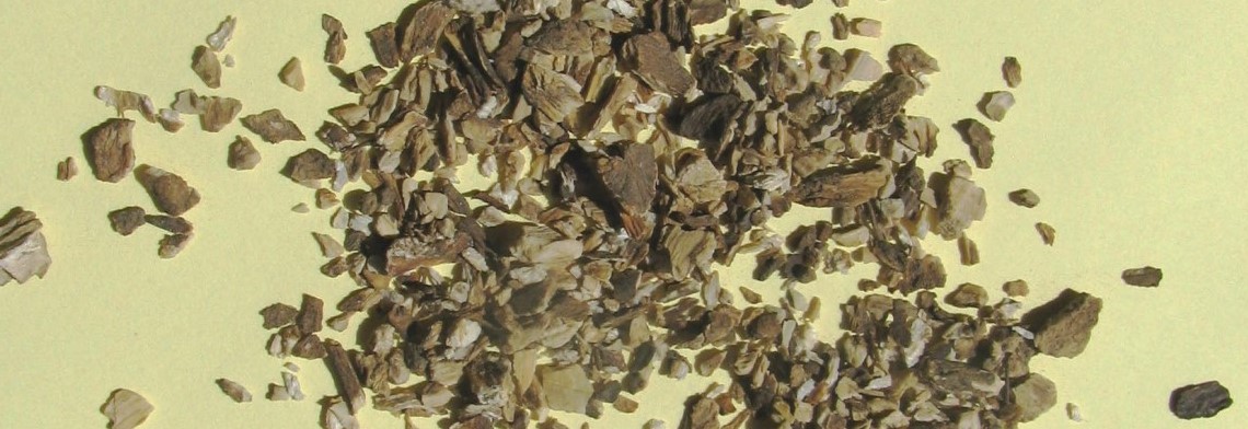 Klettenwurzelöl Klettenwurzelöl