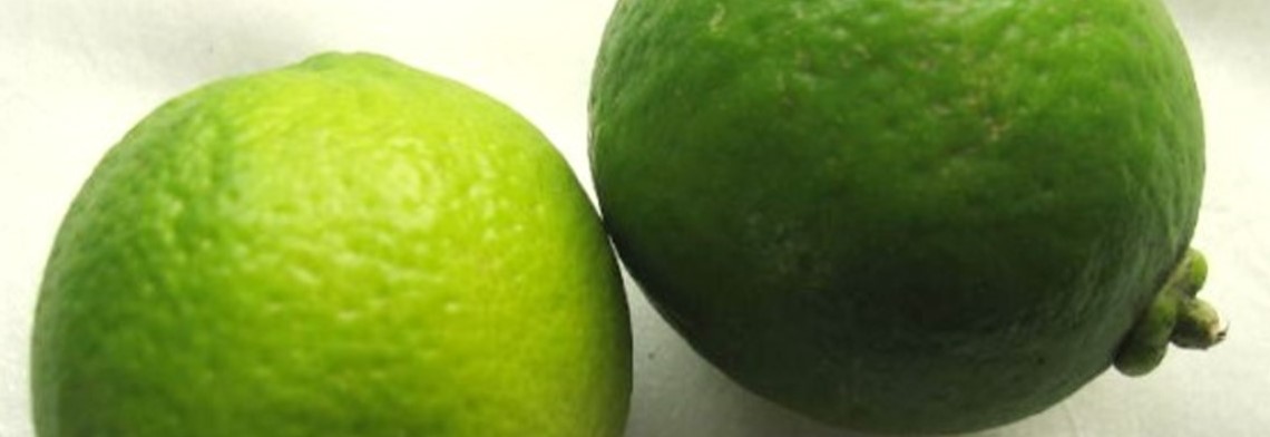 Ätherisches Limettenöl gepresst, naturrein Ätherisches Limettenöl gepresst, naturrein