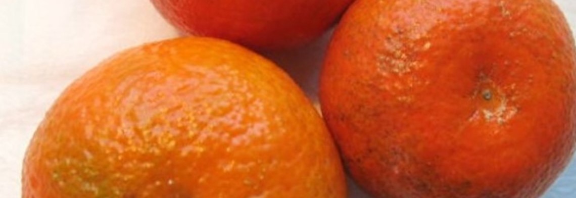 Ätherisches Mandarinenöl grün, naturrein Ätherisches Mandarinenöl grün, naturrein