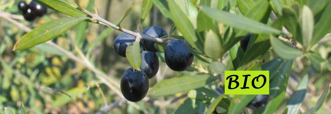Olivenöl extra nativ BIO