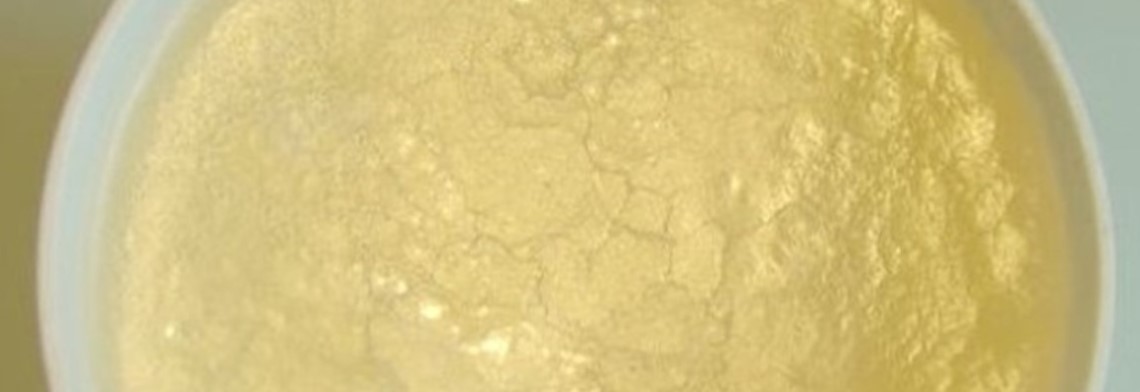 Palmkernröl BIO raffiniert aus Wildsammlung Palmkernröl BIO raffiniert aus Wildsammlung