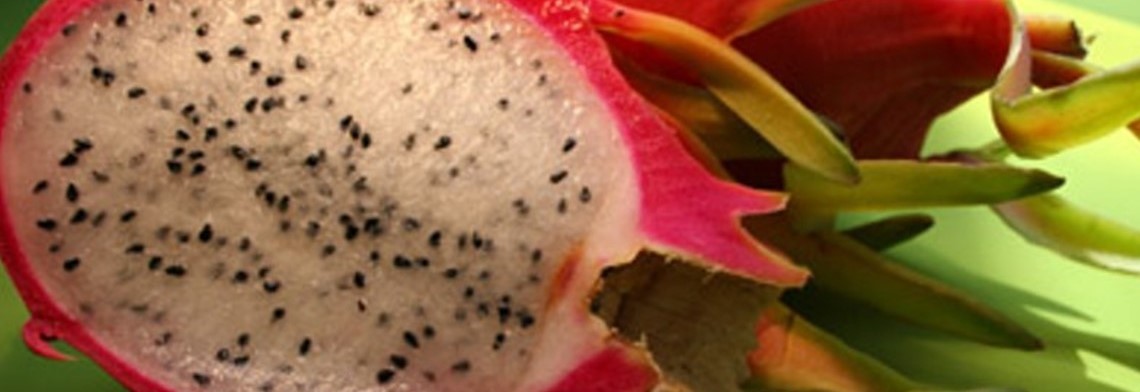 Parfumöl Tropic Pitahaya Parfumöl Tropic Pitahaya