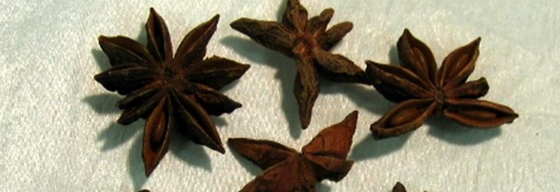 Ätherisches Sternanisöl naturrein Ätherisches Sternanisöl naturrein